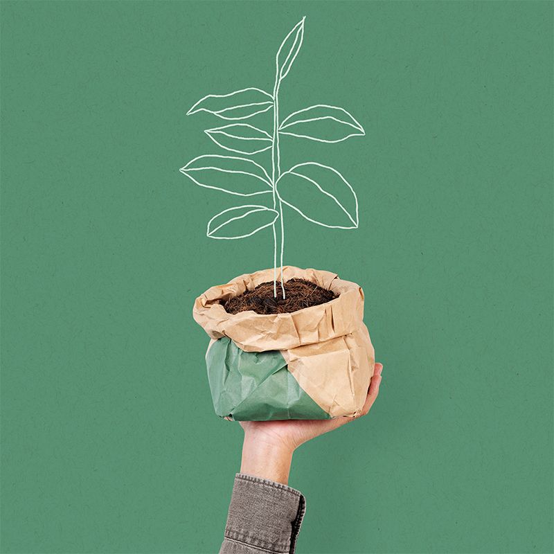 Agroecologia