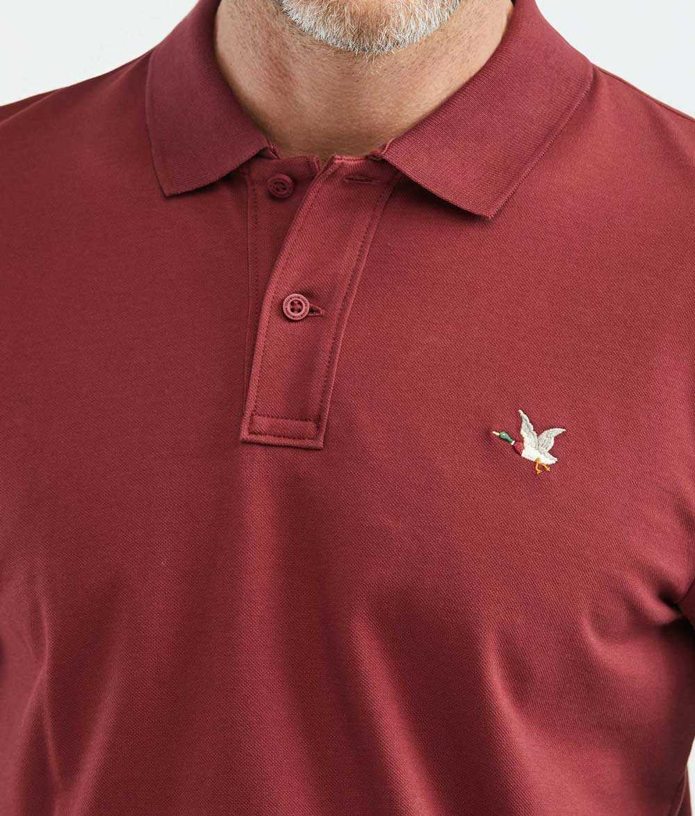 Polo chevignon best sale