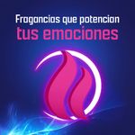 image-e987d360b90a422ab99f15494b5c2763