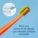 image-c67b9532a7e24faf9515c7a6c71ae70e